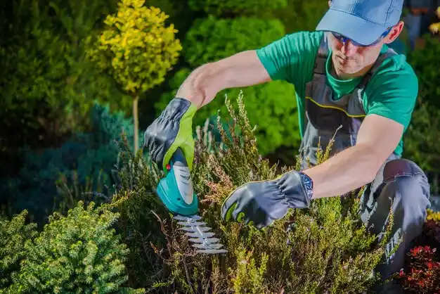 landscaping services Ponca